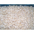 Hot selling IQF garlic frozen vegetables